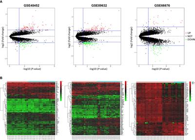 Integration analysis identifies the role of metallothionein in the progression from hepatic steatosis to steatohepatitis